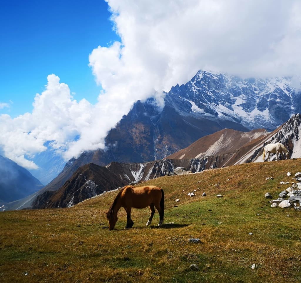 Langtang Valley Trek