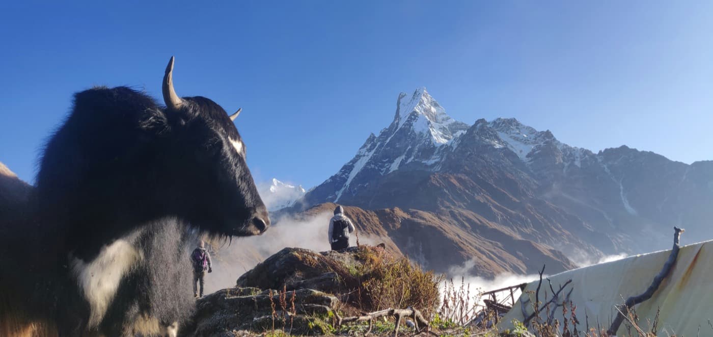 Mardi Himal Trekking